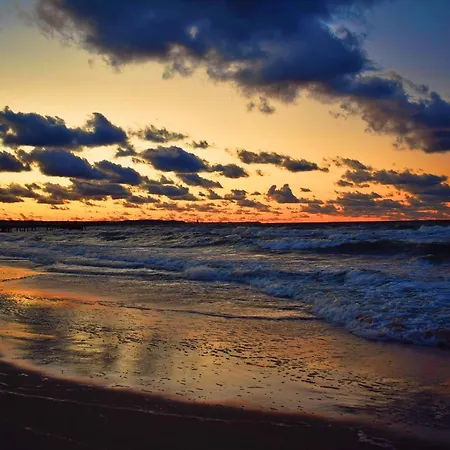 Apartament Wałowa *