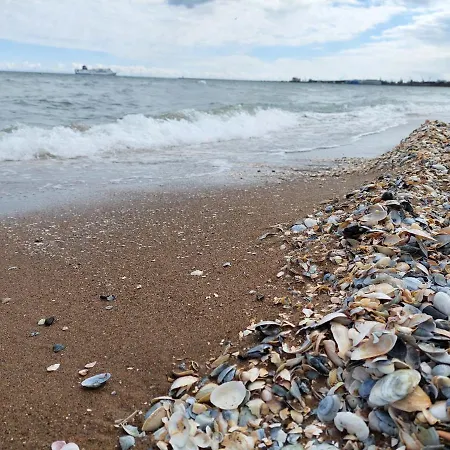 Apartament Wałowa Gdańsk