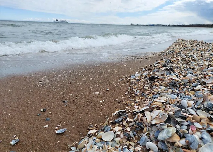 Apartament Wałowa Gdańsk